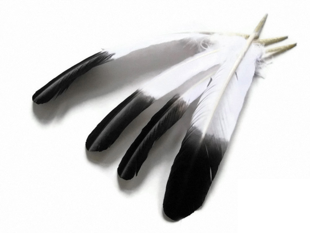 1/4 lbs. - Black Tipped Tom Turkey Rounds Imitation "Eagle" Wholesale Feathers (Bulk)