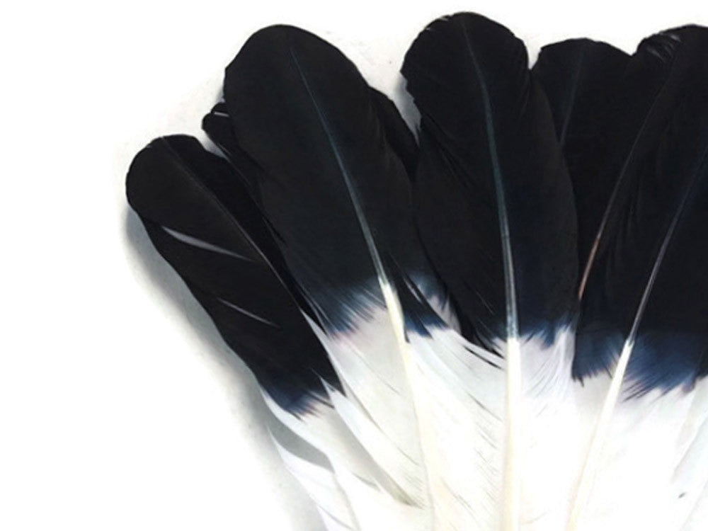 1/4 lbs. - Black Tipped Tom Turkey Rounds Imitation "Eagle" Wholesale Feathers (Bulk)