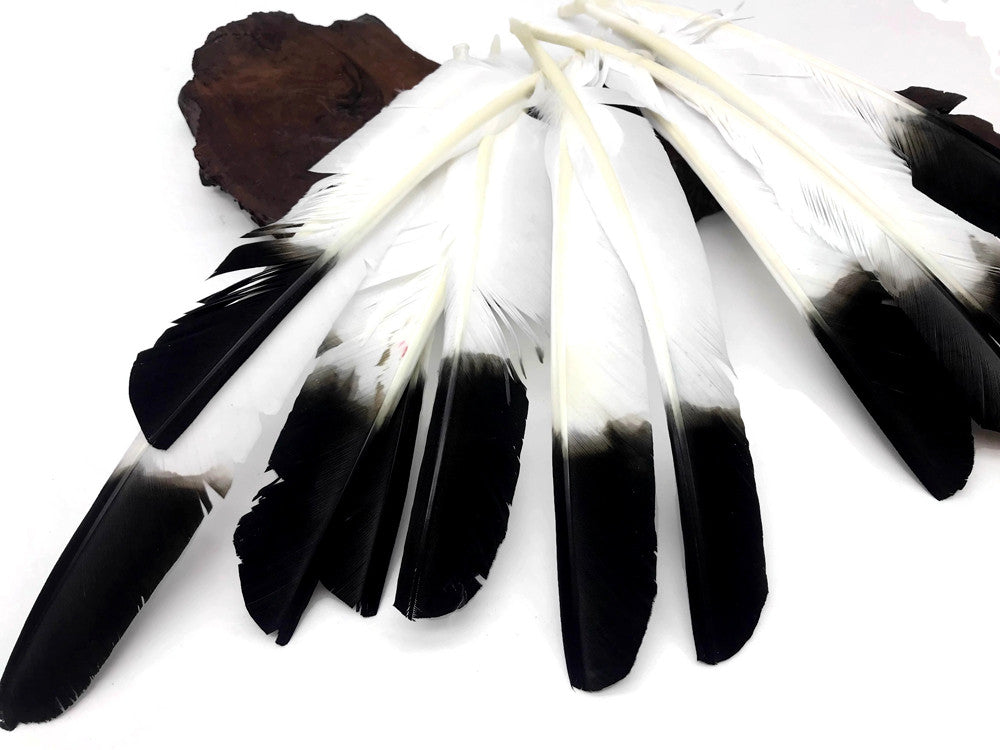 6 Pieces - Black Tipped Turkey Pointers 'Imitation Eagle' Wing Large Feathers