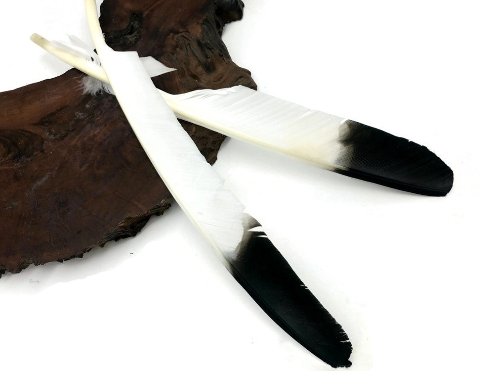 6 Pieces - Black Tipped Turkey Pointers 'Imitation Eagle' Wing Large Feathers