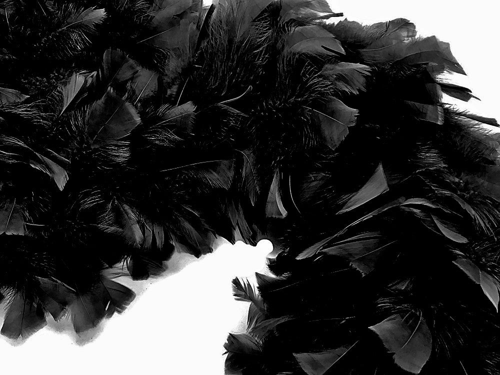 2 Yards - Black Heavy Weight Turkey Flat Feather Boa, 150 Gram