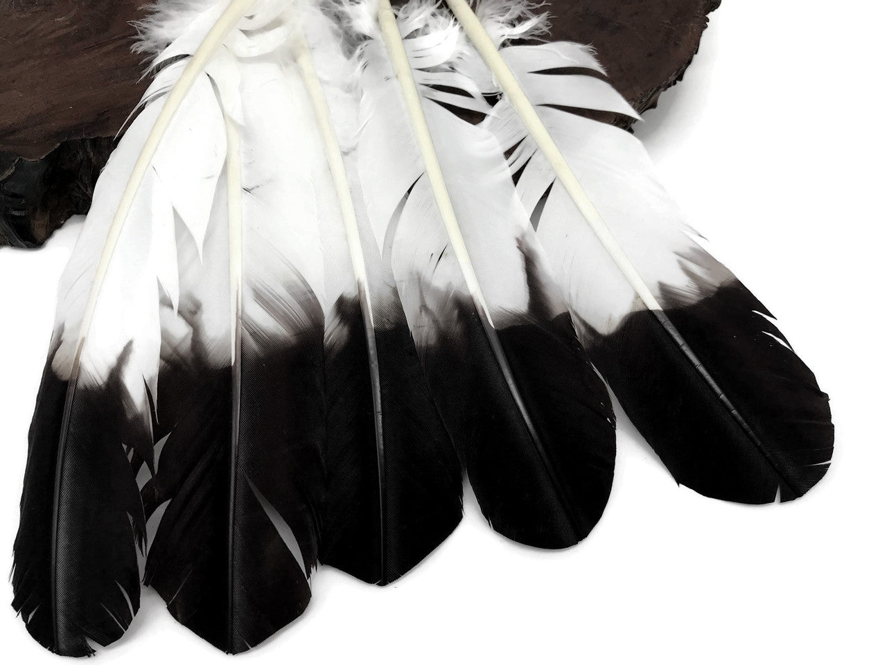 6 Pieces - Black Tipped "Imitation Eagle" Turkey Tom Rounds Secondary Wing Quill Feathers