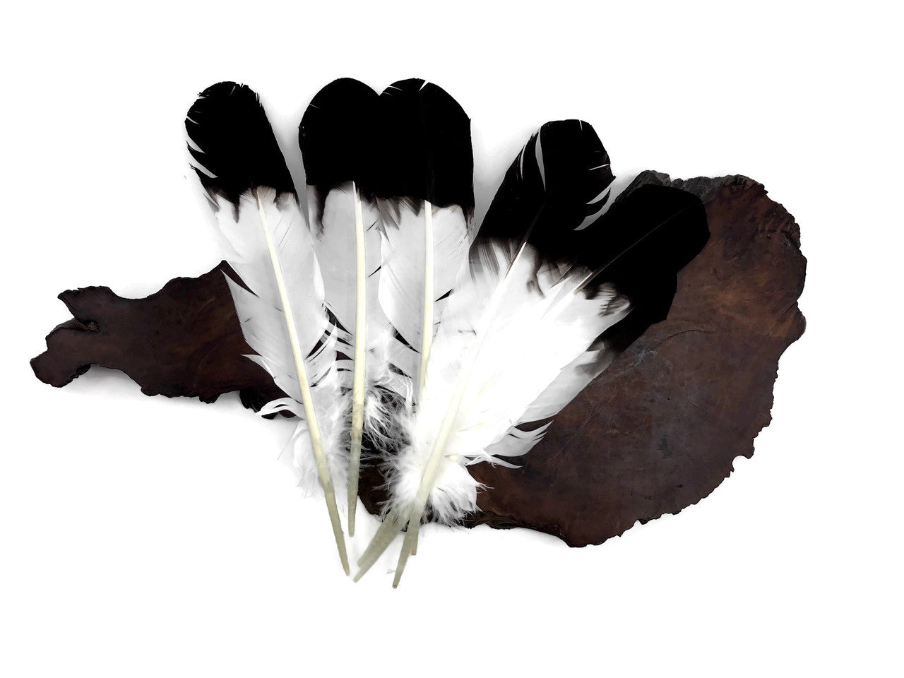 6 Pieces - Black Tipped "Imitation Eagle" Turkey Tom Rounds Secondary Wing Quill Feathers