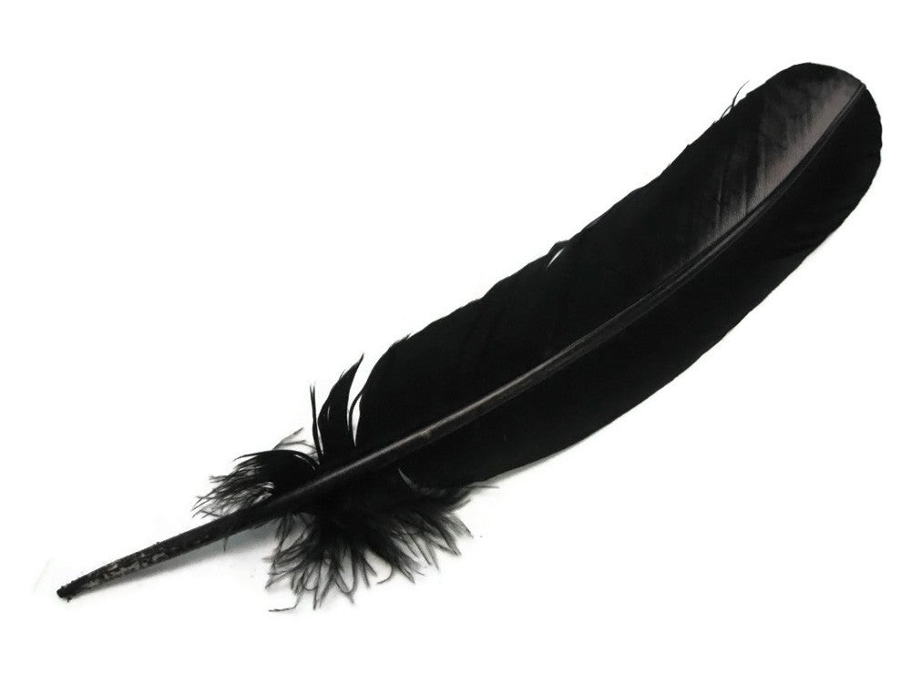 10 Lbs. - Black Turkey Rounds Secondary Wing Quill Wholesale Feathers (Bulk)