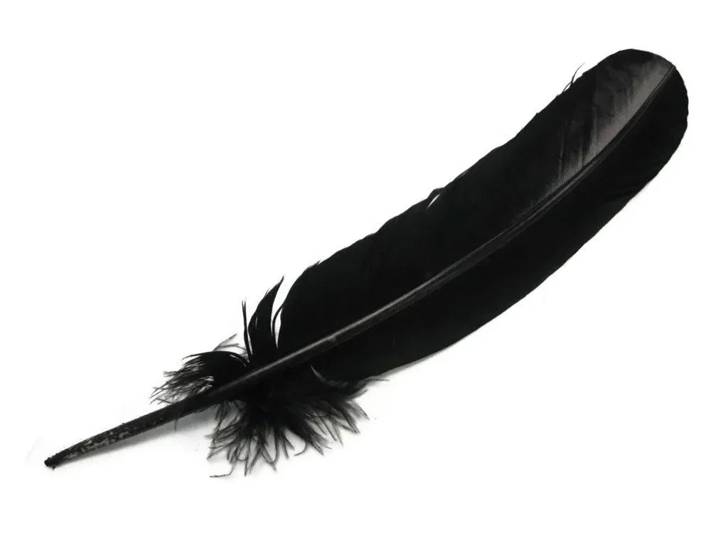 Single elegant black feather for DIY crafts, fashion accessories, and décor.