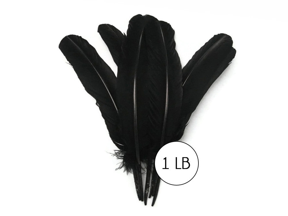 1 Lb. - Black Turkey Tom Rounds Secondary Wing Quill Wholesale Feathers (Bulk)