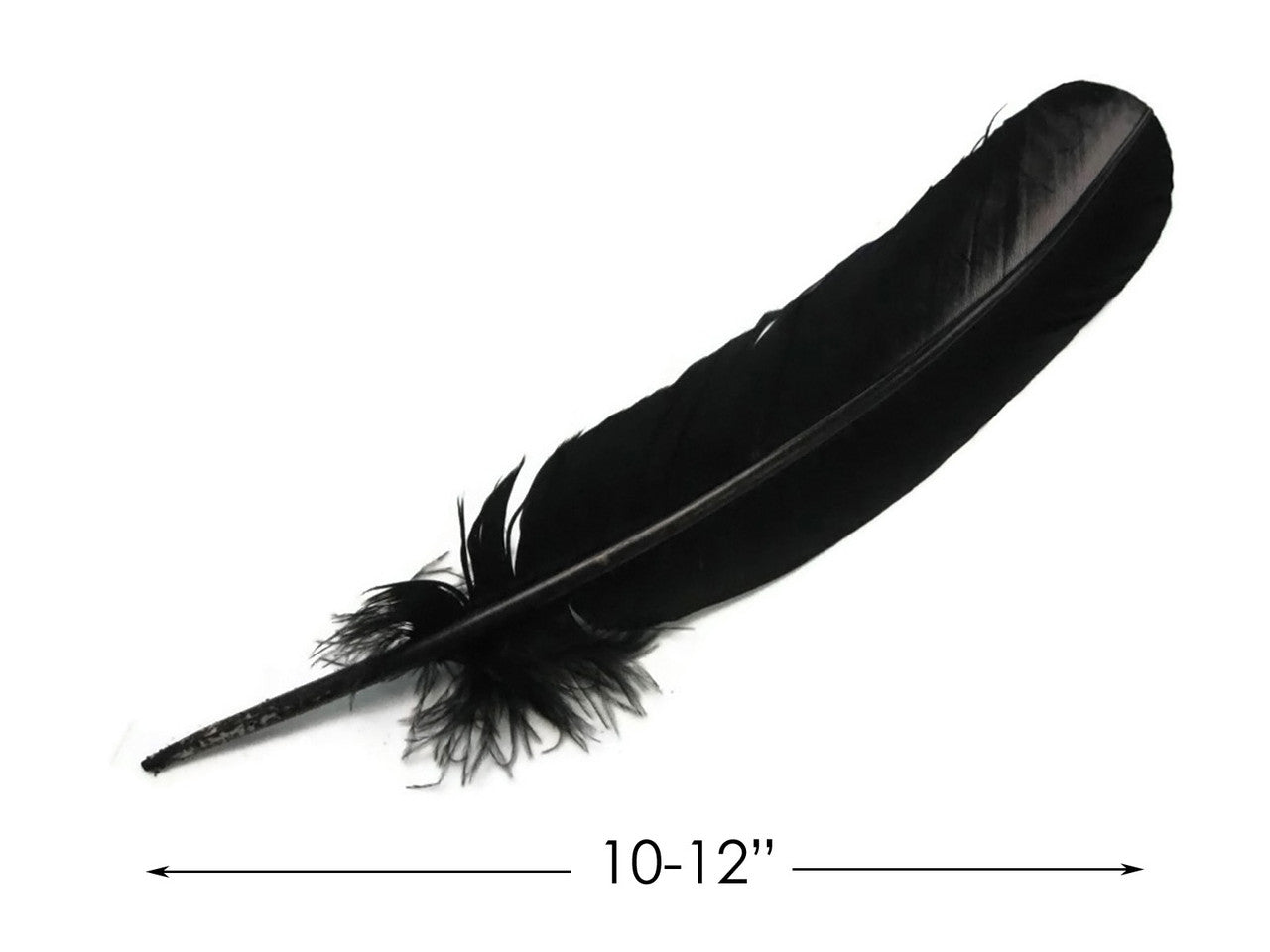 1 Lb. - Black Turkey Tom Rounds Secondary Wing Quill Wholesale Feathers (Bulk)