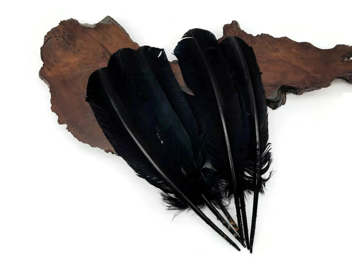 Large black feathers for DIY crafts and fashion decor on a natural wood slice.