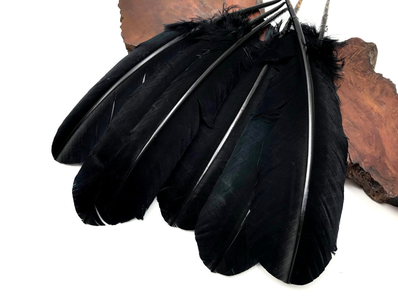 1 Lb. - Black Turkey Tom Rounds Secondary Wing Quill Wholesale Feathers (Bulk)