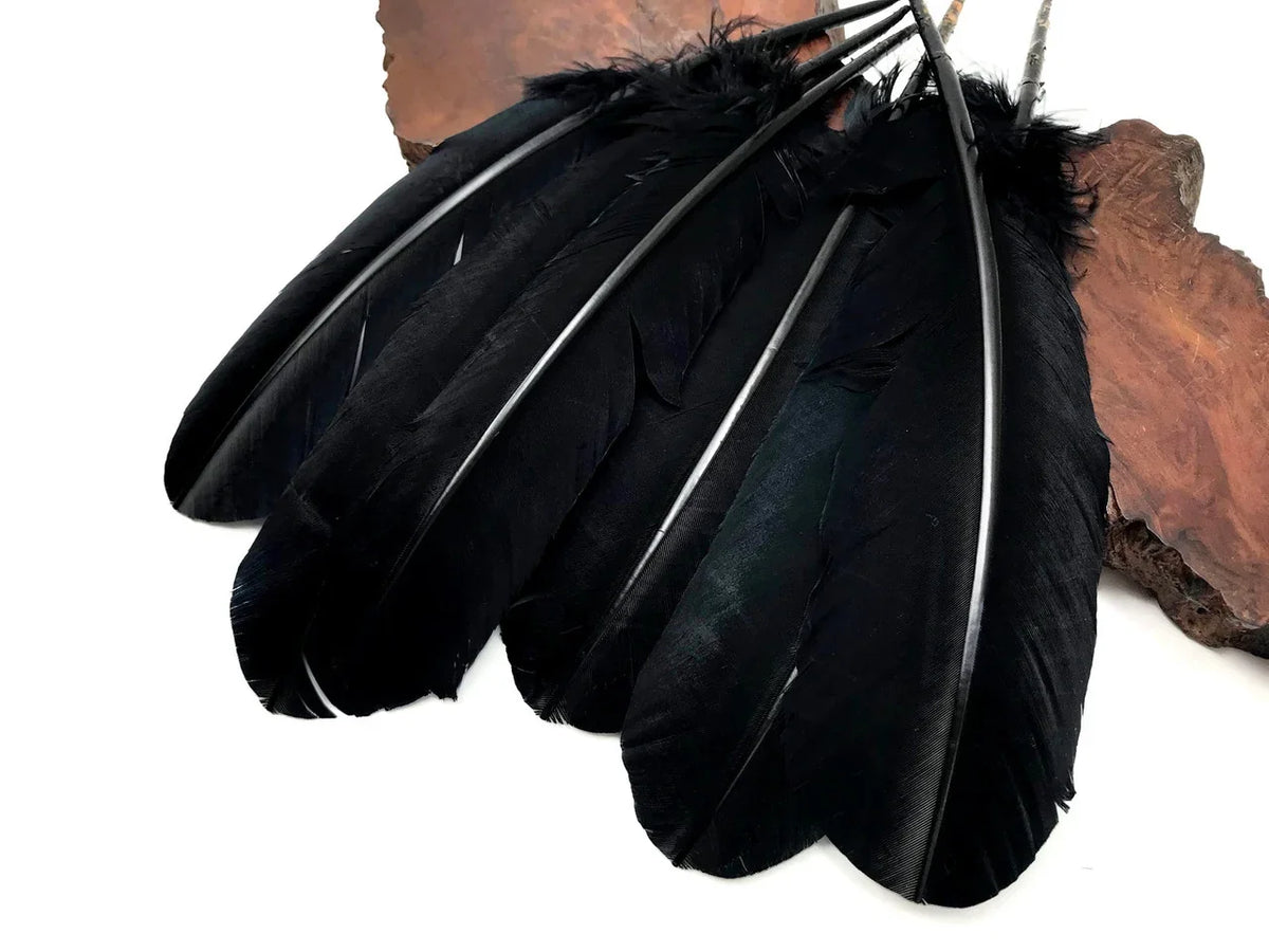 Large black feathers for crafts and fashion decor on a wooden base