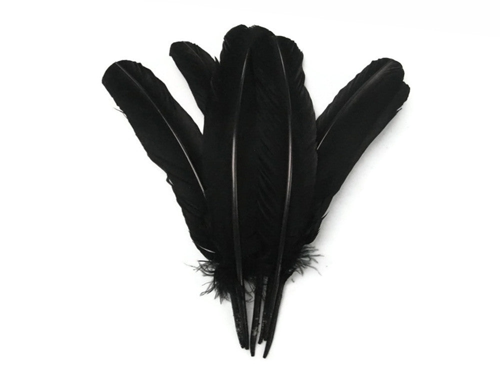 6 Pieces - Black Turkey Rounds Secondary Wing Quill Feathers