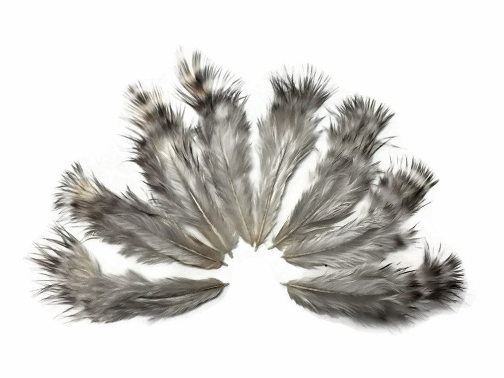 1 Dozen - Unique Grizzly Mini Rooster Chickabou Fluff Whiting Hair Feathers