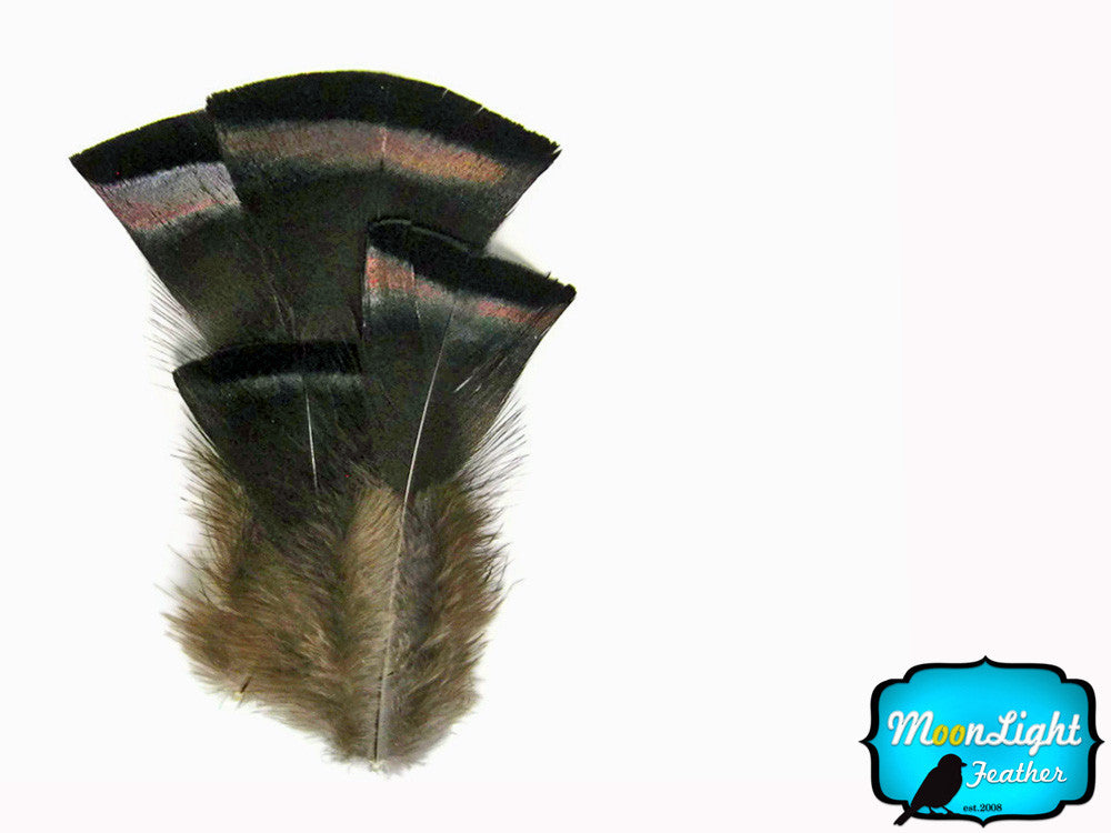 20 Pieces- Bronze Black Wild Turkey Flats Feathers