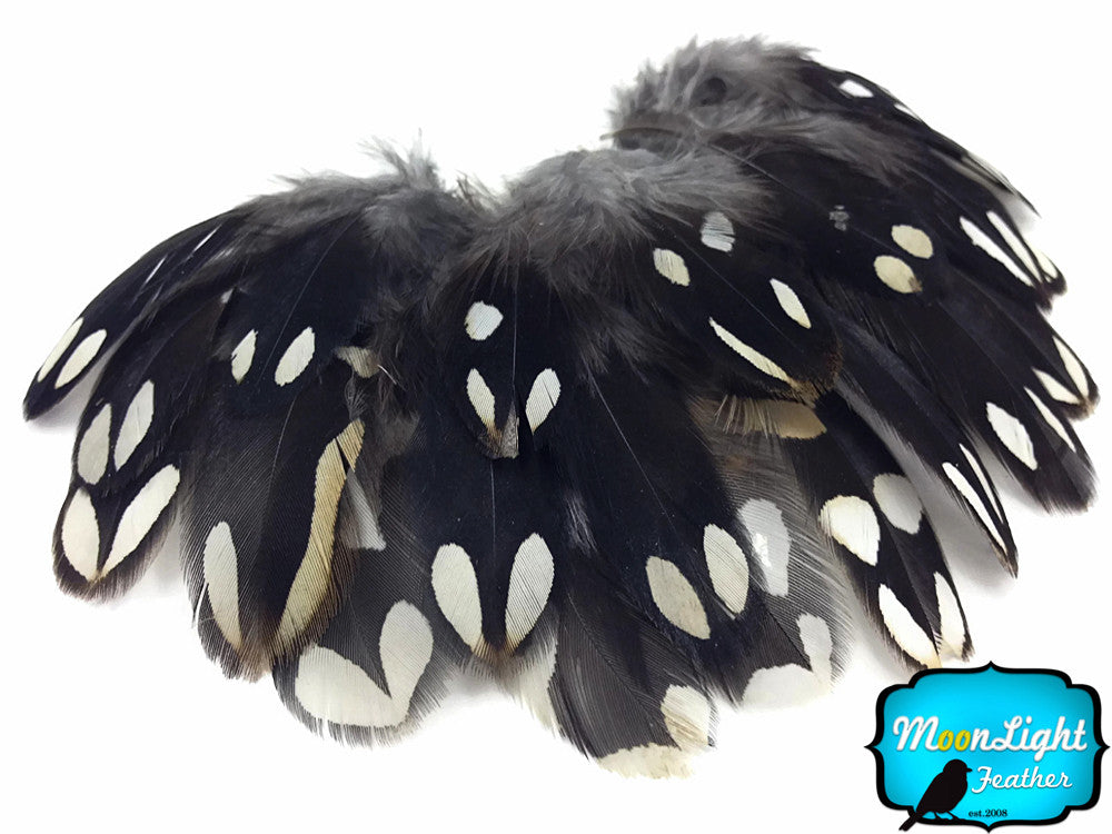 10 Pieces - Black And White Partridge Small Body Plumage Feathers