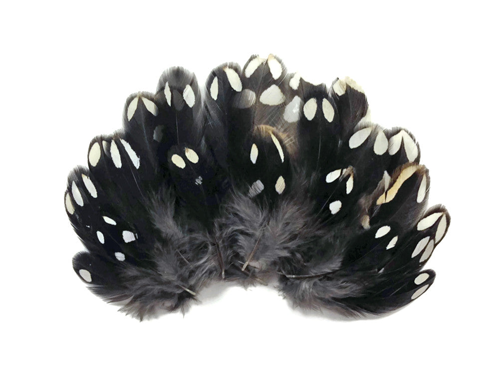 10 Pieces - Black And White Partridge Small Body Plumage Feathers