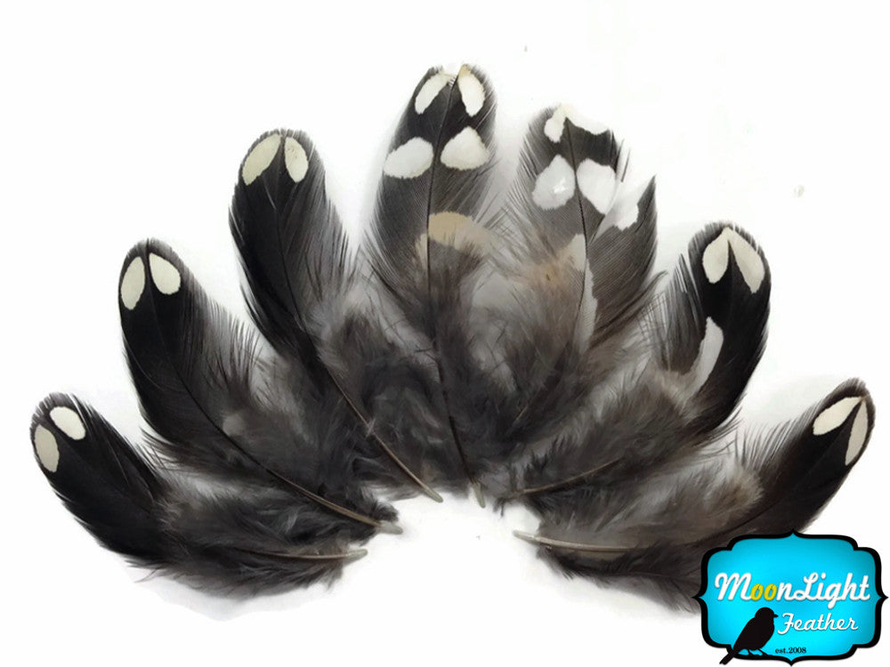 10 Pieces - Black And White Partridge Small Body Plumage Feathers