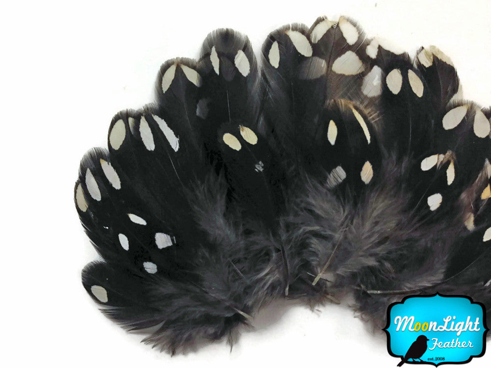 10 Pieces - Black And White Partridge Small Body Plumage Feathers