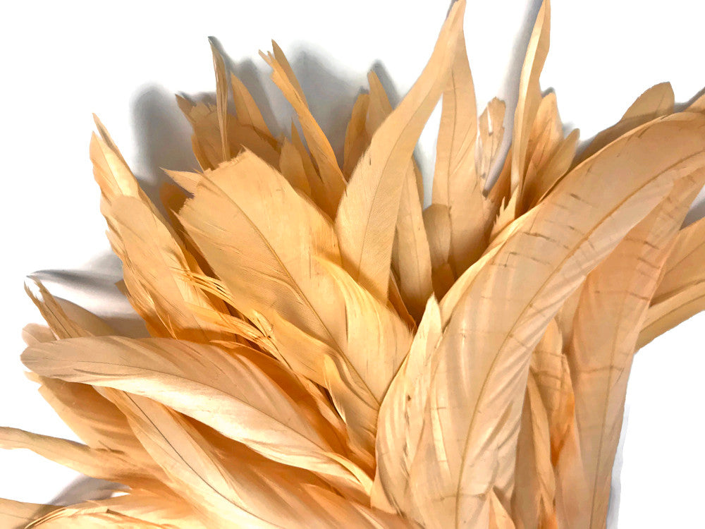 1 Yard - 10-12" Champagne Bleach and Dyed Coque Tails Long Feather Trim (Bulk)