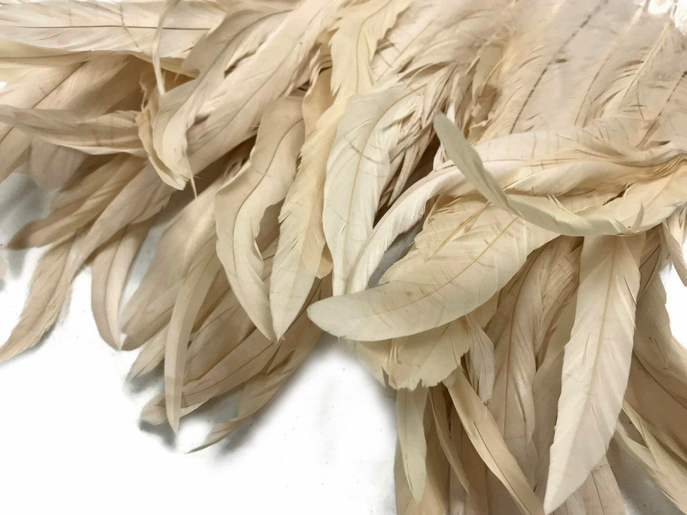 1 Yard - 10-12" Ivory Bleach Coque Tails Long Feather Trim (Bulk)