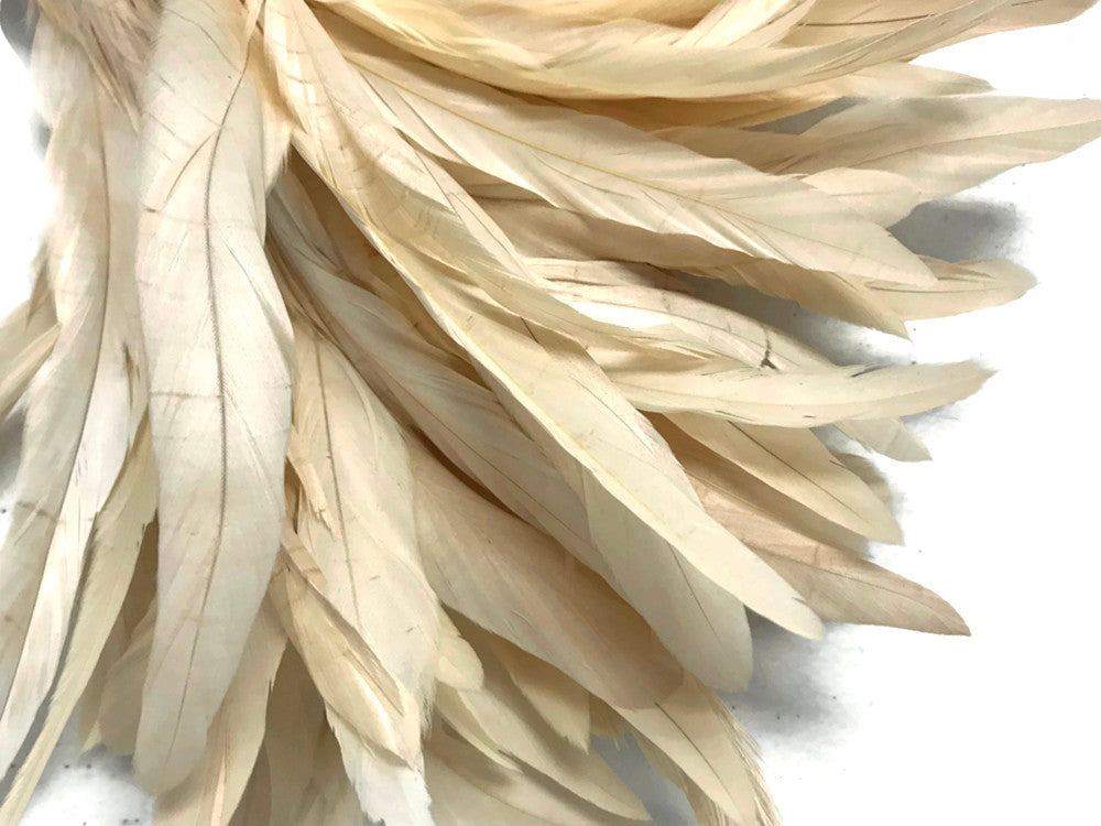 1 Yard - 10-12" Ivory Bleach Coque Tails Long Feather Trim (Bulk)