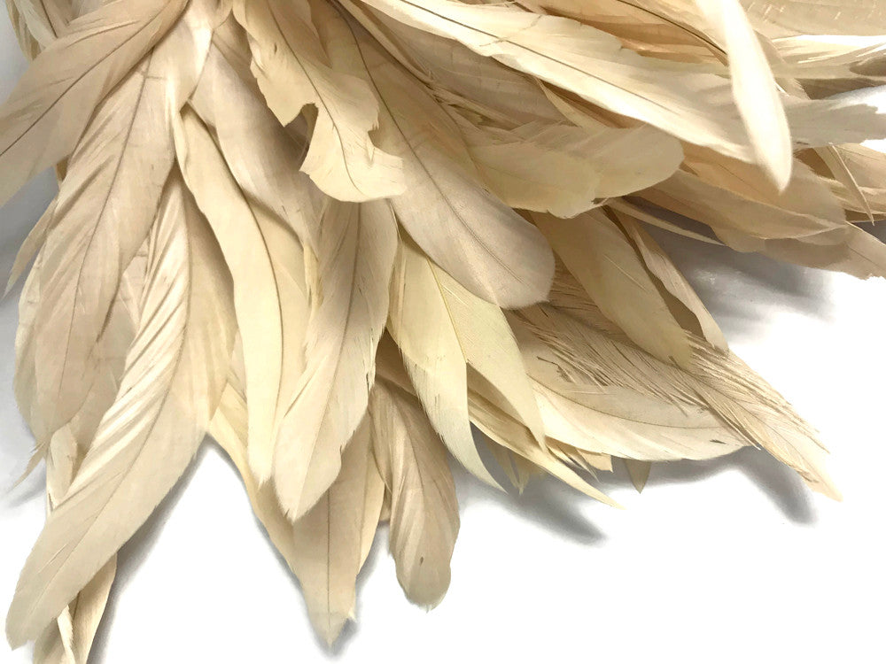 1 Yard - 10-12" Ivory Bleach Coque Tails Long Feather Trim (Bulk)