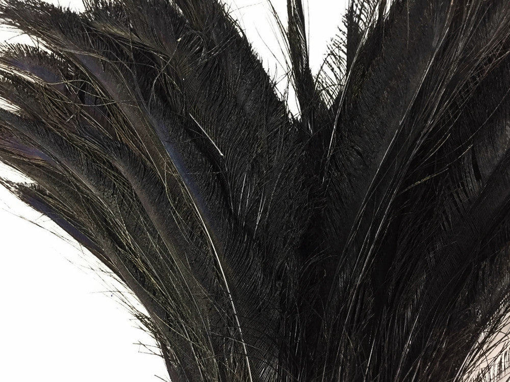 50 Pieces - 30-35" Black Bleached Peacock Swords Cut Wholesale Feathers (Bulk)