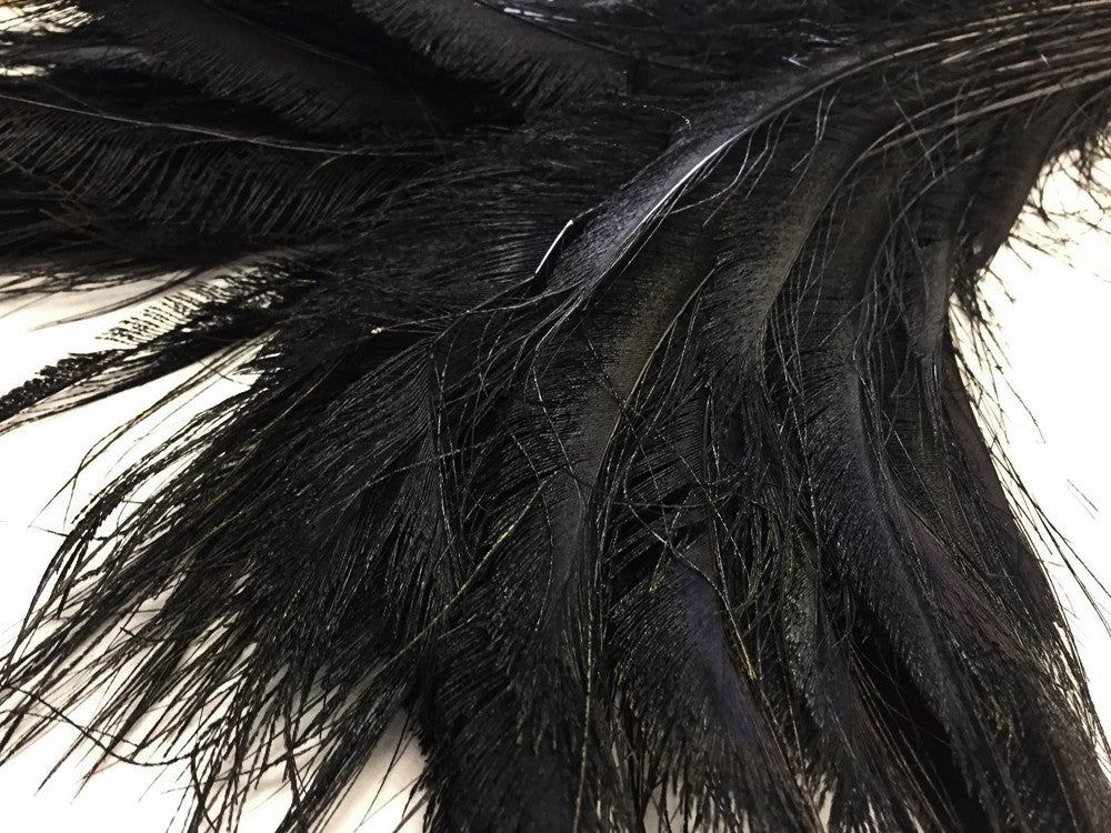 50 Pieces - 30-35" Black Bleached Peacock Swords Cut Wholesale Feathers (Bulk)