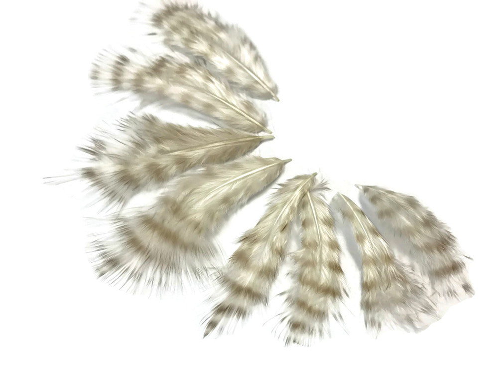 1 Dozen - Bleached Grizzly Mini Rooster Chickabou Fluff Whiting Hair Feathers