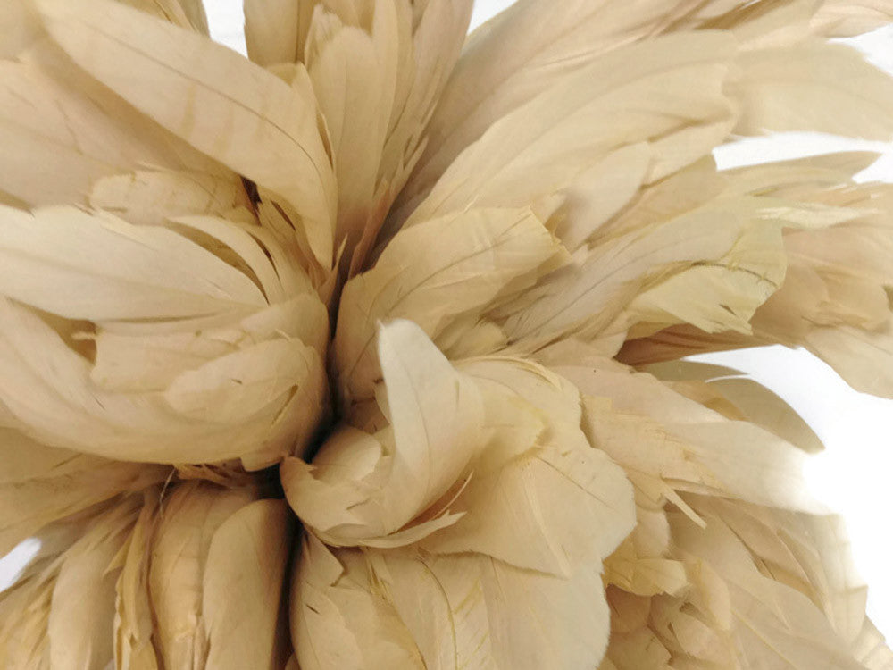 2.5  Inch Strip -  8-10" Ivory Strung Natural Bleach Coque Tails Feathers