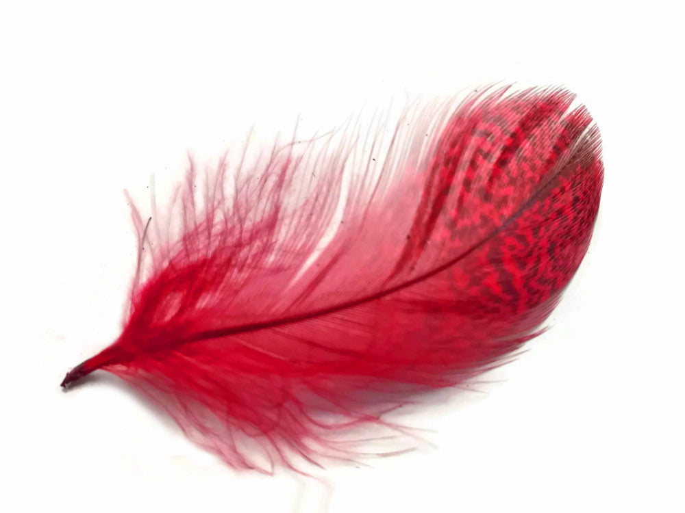 1 Pack - Red Mallard Duck Flank Feathers 0.10 Oz.