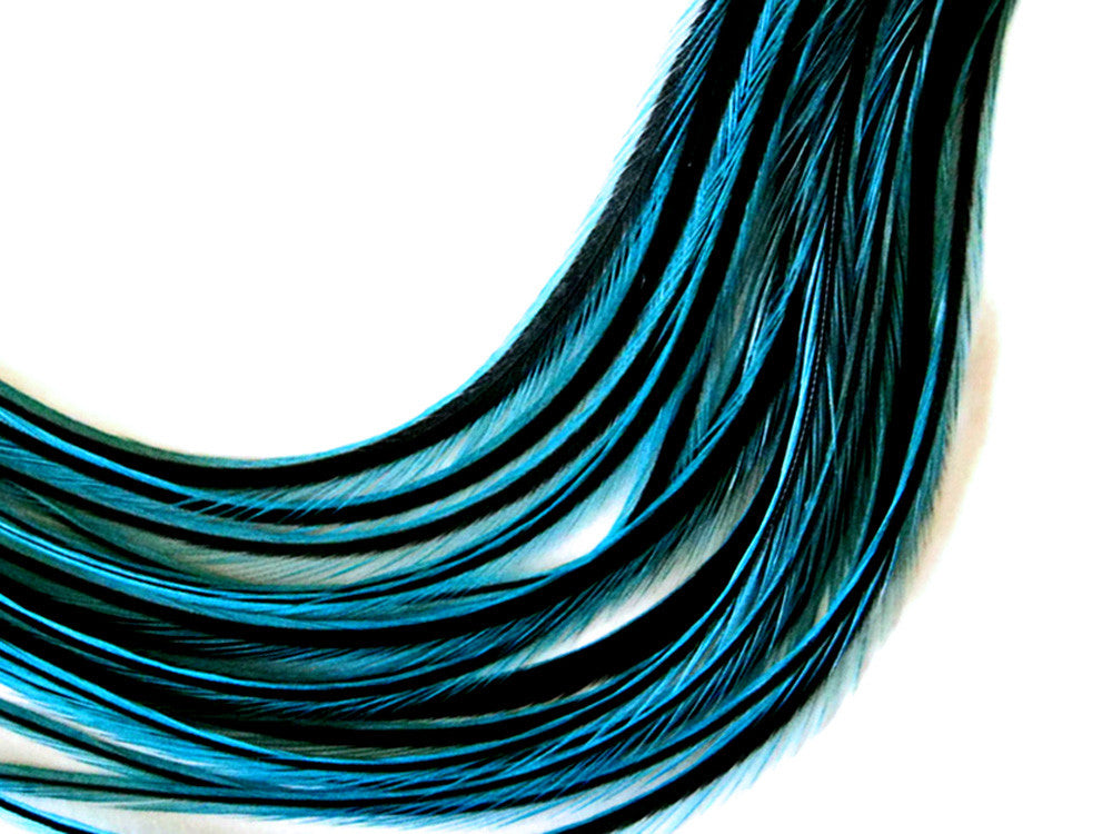 6 Pieces - XL Kingfisher Blue Badger Thin Whiting Farm Rooster Hair Extension Feathers 11" and Up 