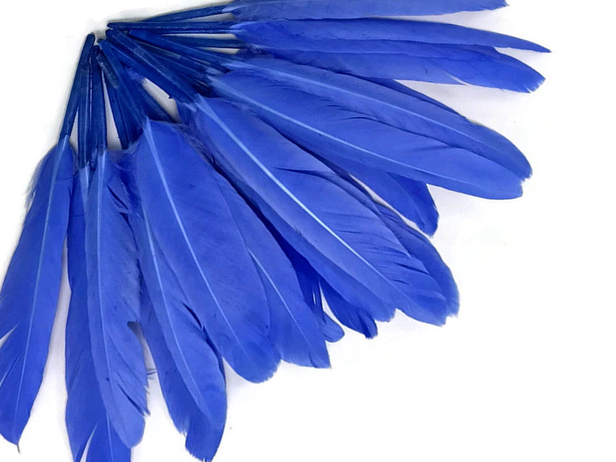 1 Pack - Sky Blue Dyed Duck Cochettes Loose Wing Quill Feather 0.30 Oz.