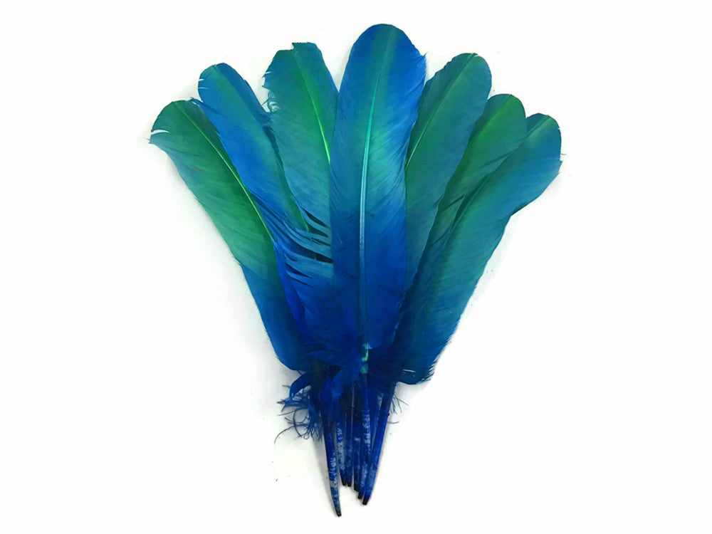 6 Pieces - Blue Green Ombre Turkey Round Tom Wing Quill Feathers