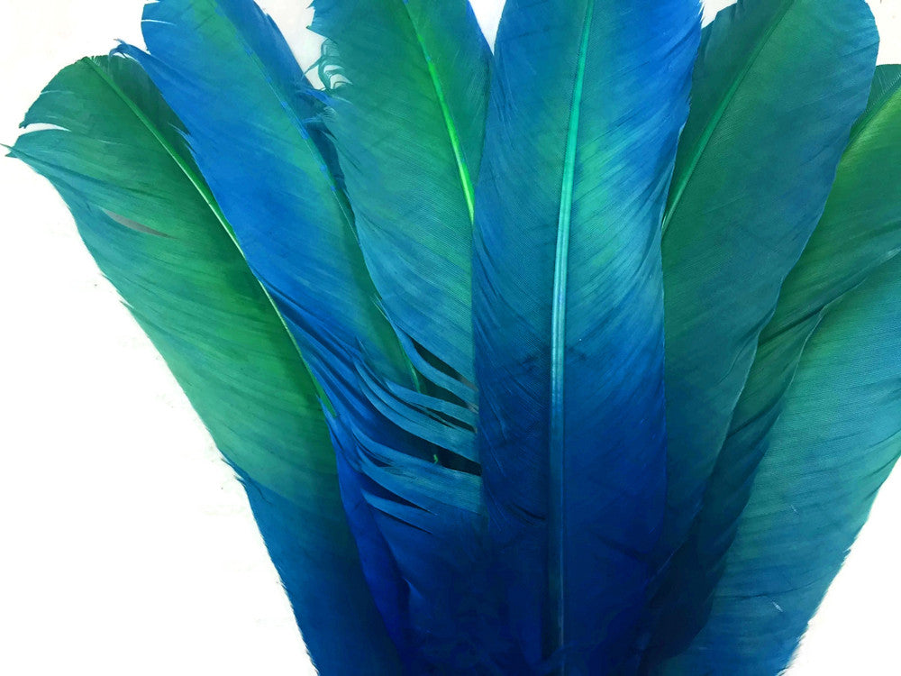 6 Pieces - Blue Green Ombre Turkey Round Tom Wing Quill Feathers