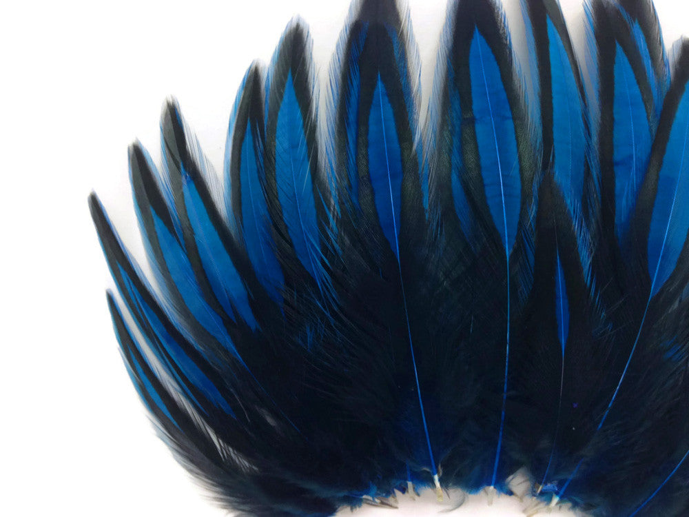 1 Dozen - Kingfisher Blue Whiting Farms BLW Laced Hen Cape Loose Feathers