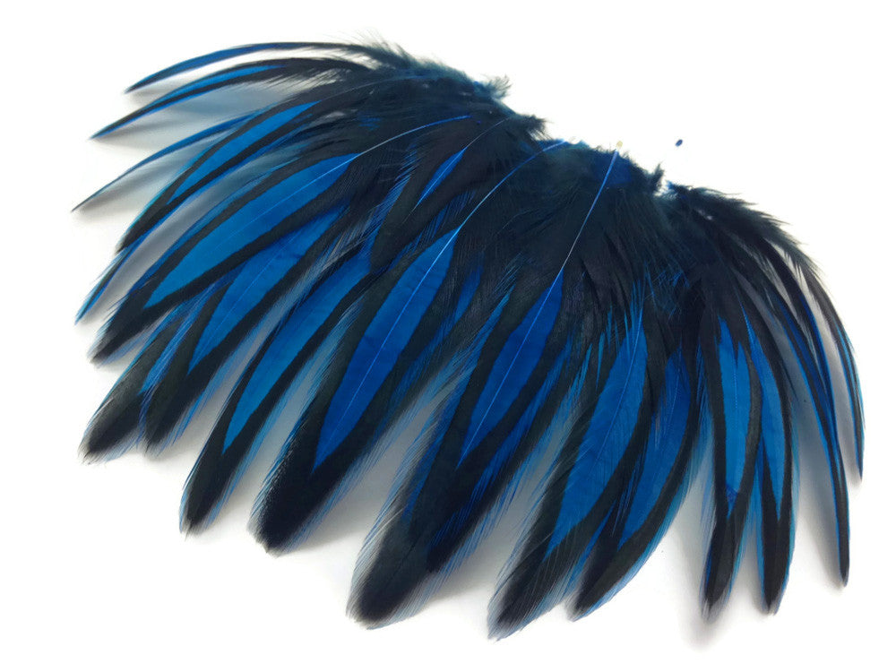 1 Dozen - Kingfisher Blue Whiting Farms BLW Laced Hen Cape Loose Feathers