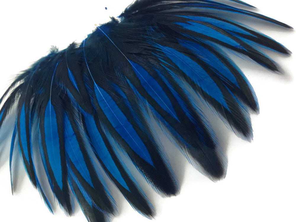 1 Dozen - Kingfisher Blue Whiting Farms BLW Laced Hen Cape Loose Feathers