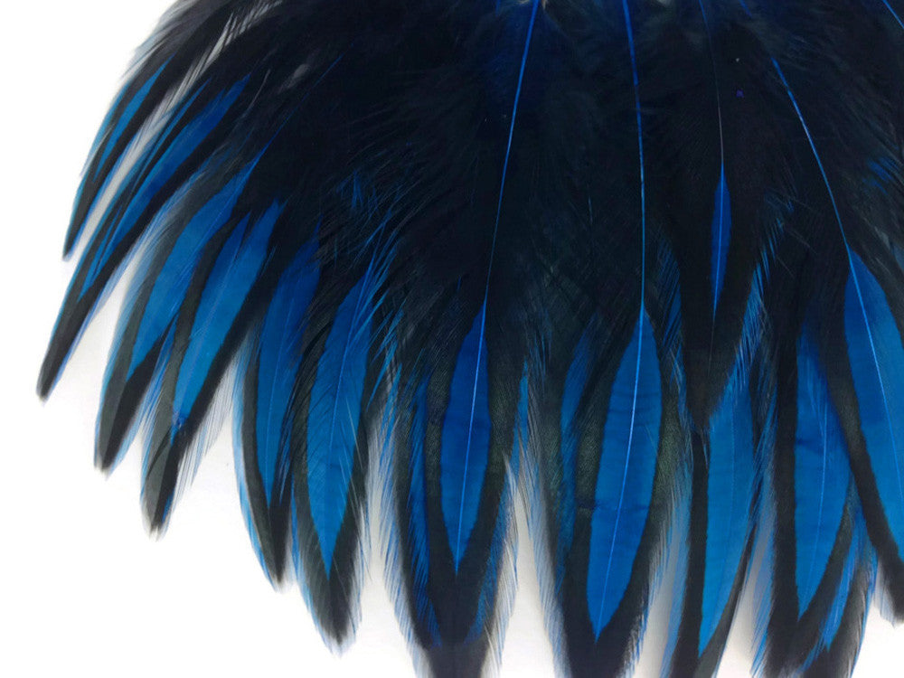 1 Dozen - Kingfisher Blue Whiting Farms BLW Laced Hen Cape Loose Feathers