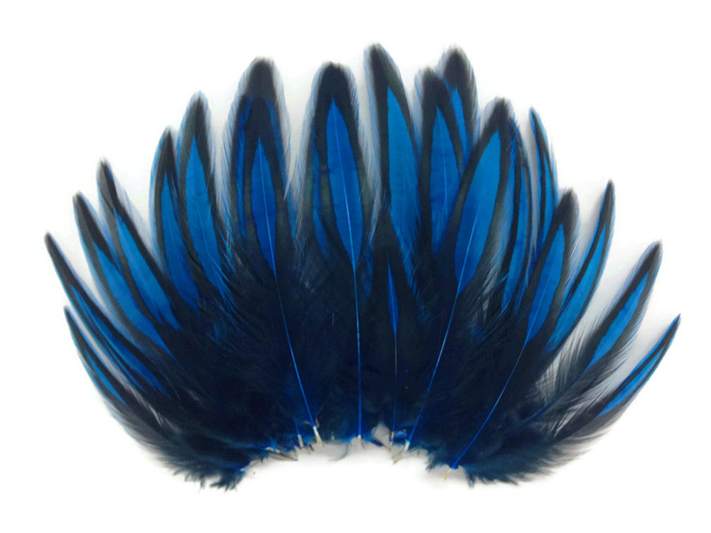 1 Dozen - Kingfisher Blue Whiting Farms BLW Laced Hen Cape Loose Feathers