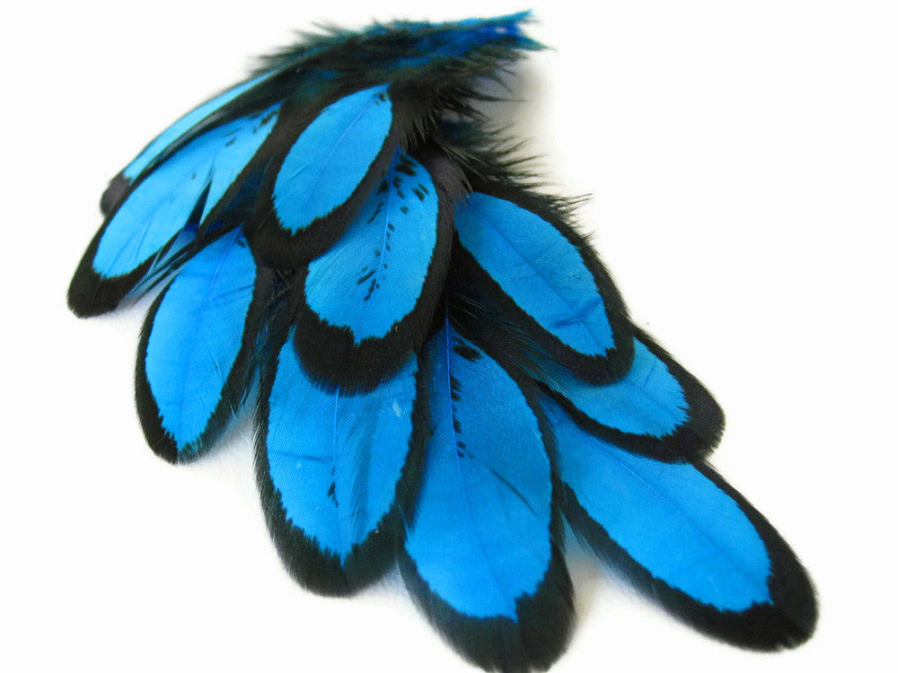 1 Dozen - Turquoise Blue Whiting Farms Laced Hen Saddle Feathers