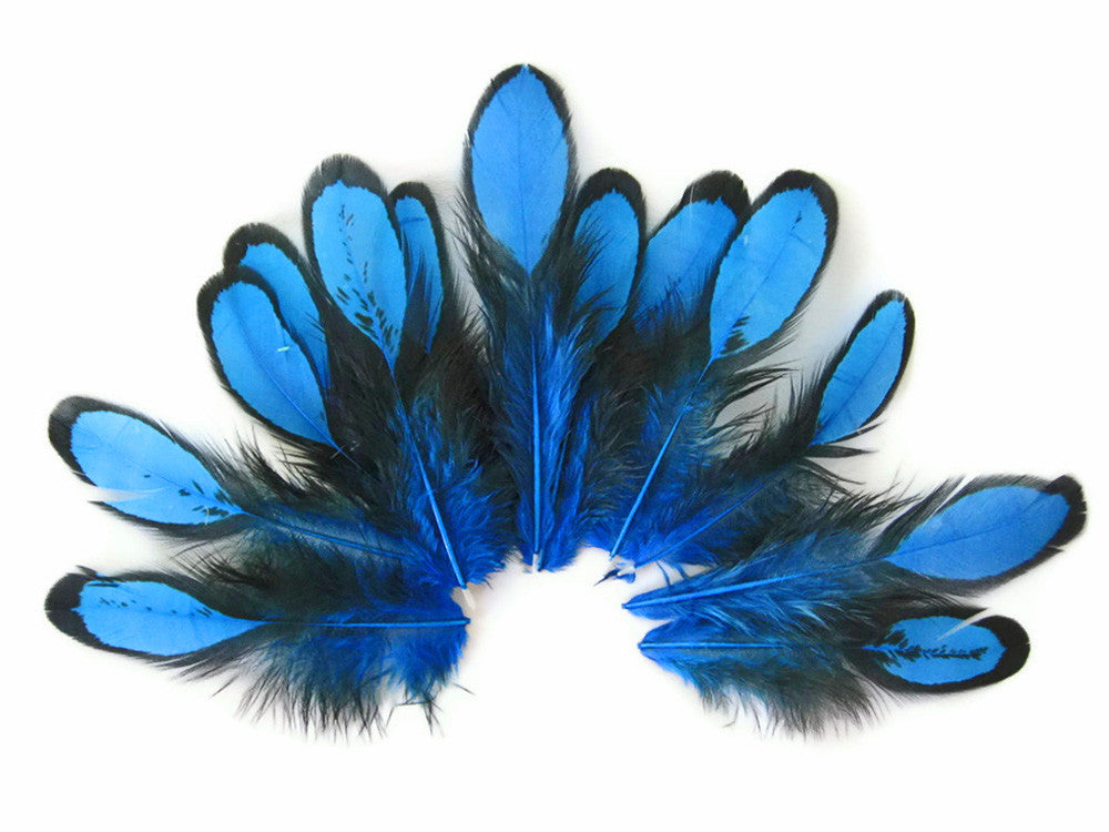 1 Dozen - Turquoise Blue Whiting Farms Laced Hen Saddle Feathers