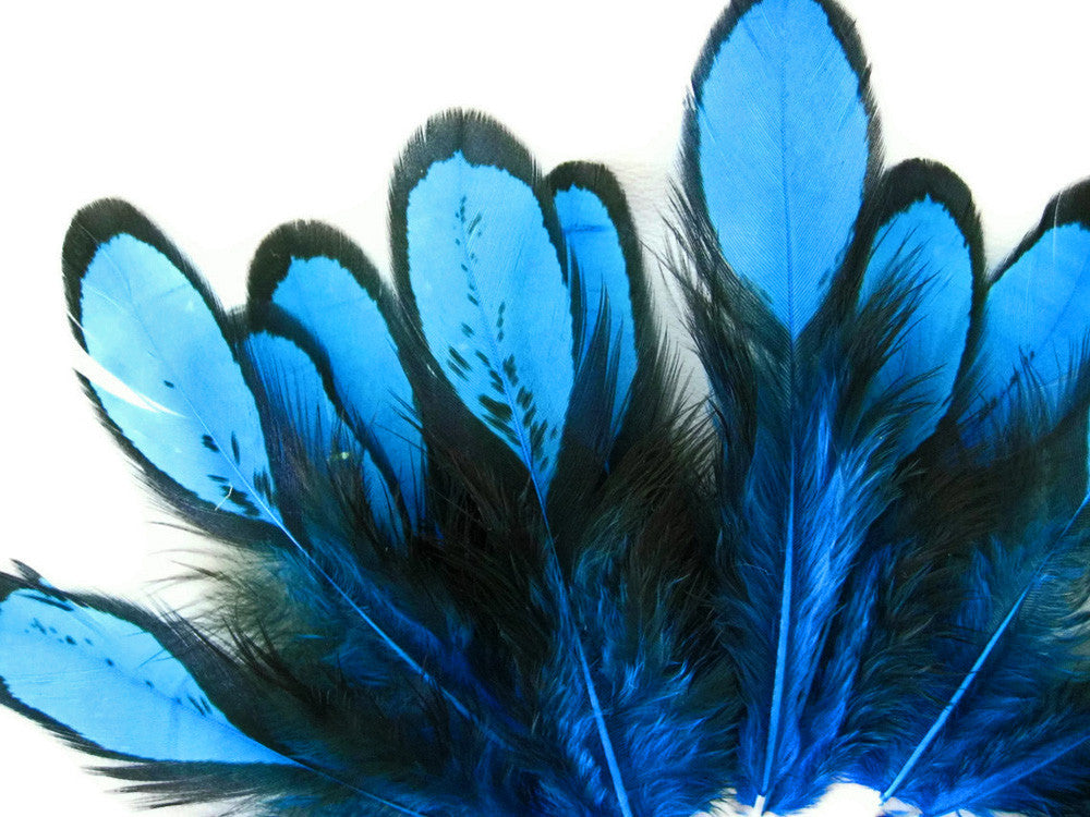 1 Dozen - Turquoise Blue Whiting Farms Laced Hen Saddle Feathers