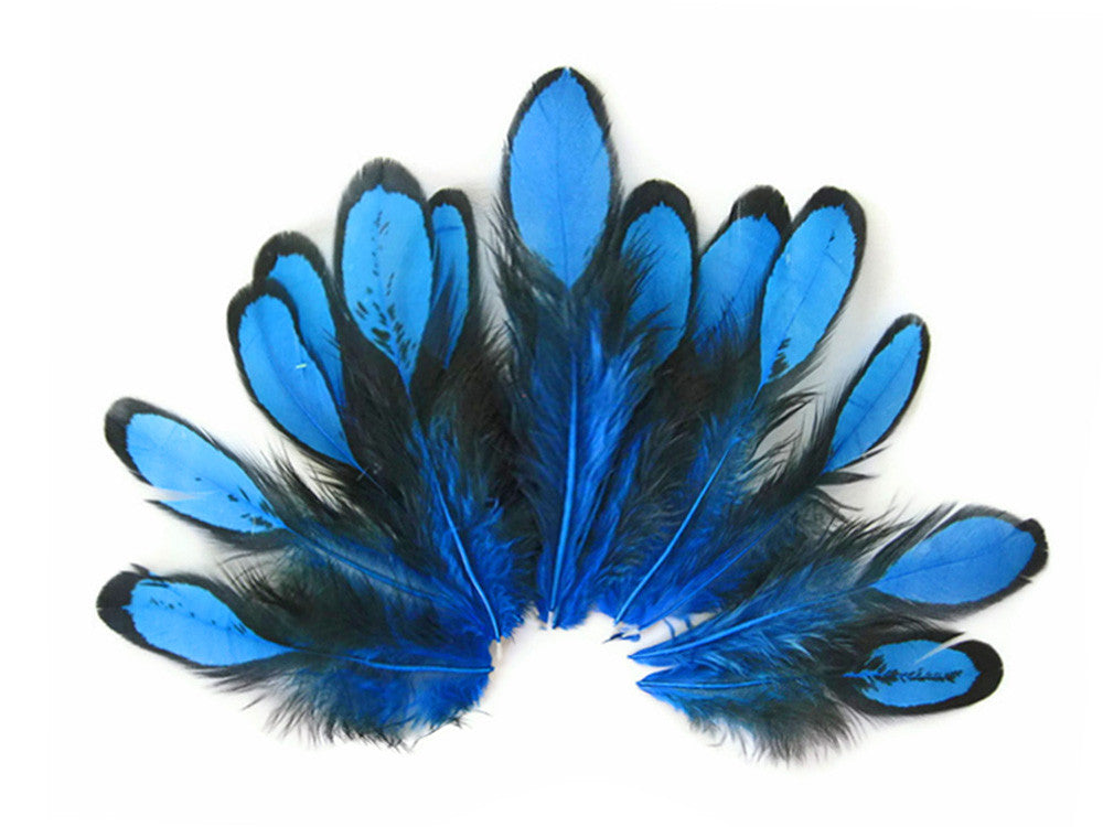 1 Dozen - Turquoise Blue Whiting Farms Laced Hen Saddle Feathers