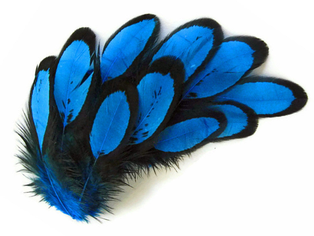 1 Dozen - Turquoise Blue Whiting Farms Laced Hen Saddle Feathers