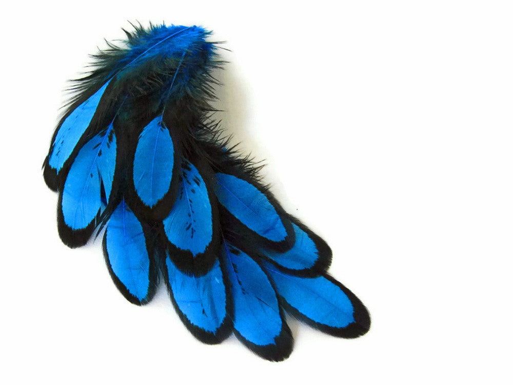 1 Dozen - Turquoise Blue Whiting Farms Laced Hen Saddle Feathers