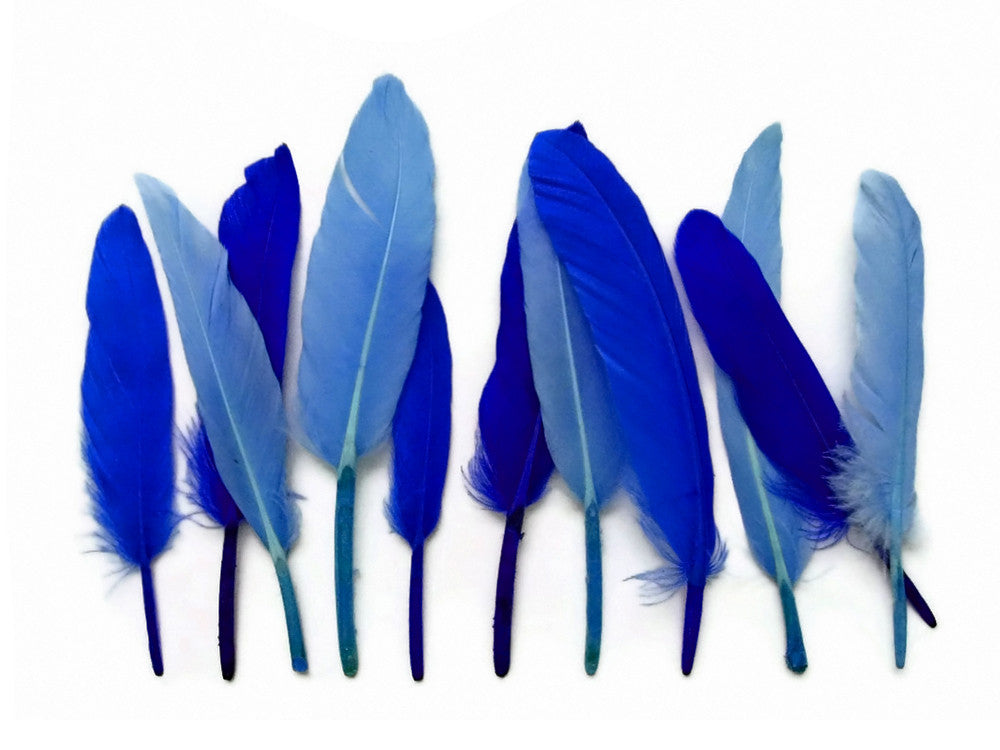 1 Pack - Sky Blue Dyed Duck Cochettes Loose Wing Quill Feather 0.30 Oz.