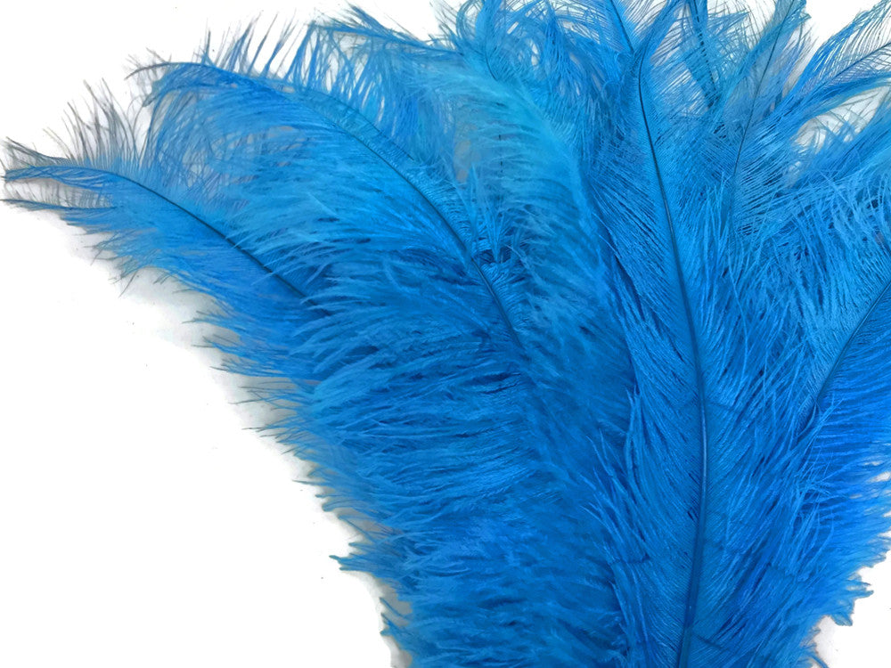 10 Pieces - 20-28" Turquoise Blue Ostrich Spads Large Feathers