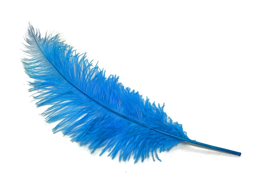 10 Pieces - 20-28" Turquoise Blue Ostrich Spads Large Feathers