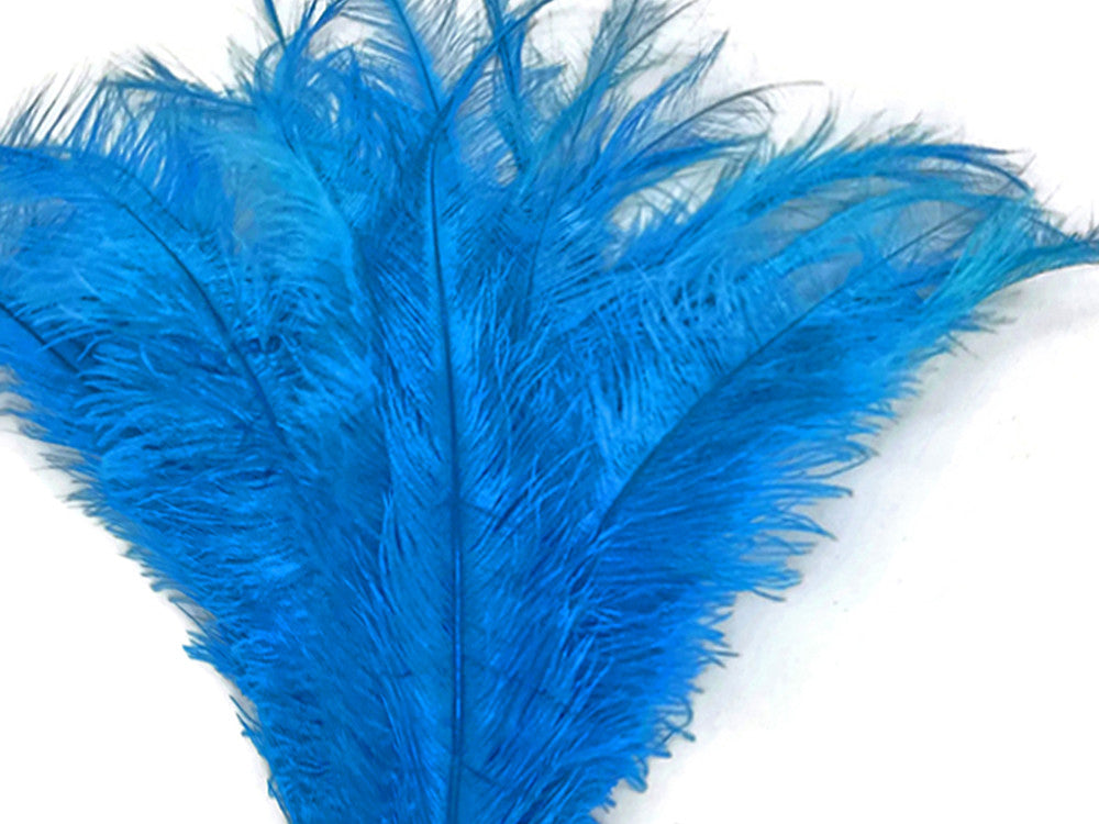 10 Pieces - 20-28" Turquoise Blue Ostrich Spads Large Feathers