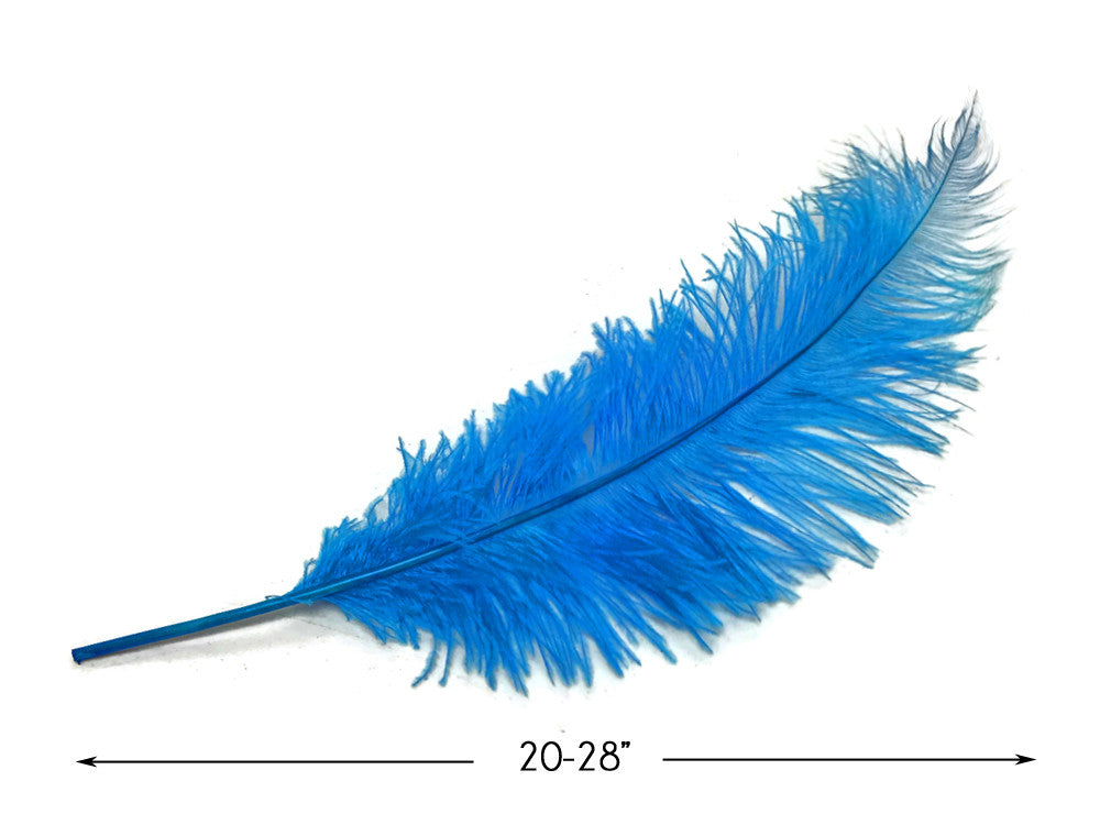 1/2 Lb - Turquoise Blue Large Ostrich Spads Wholesale Feathers 20-28" (Bulk)